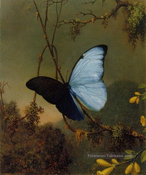 Blue Morpho Butterfly ATC romantique Martin Johnson Heade Peinture à l'huile